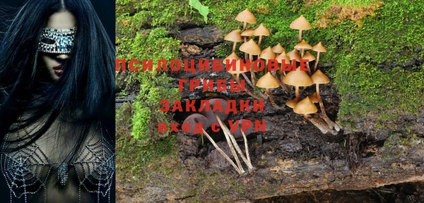 винт Горнозаводск