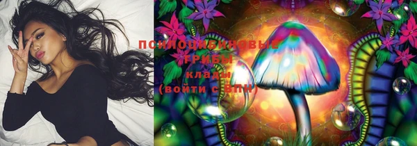 винт Гусь-Хрустальный