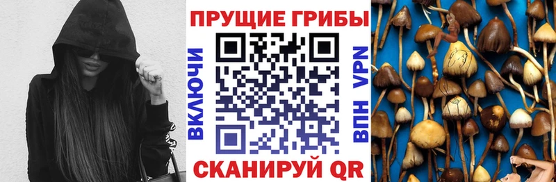 Купить где  Валуйки  Псилоцибиновые грибы GOLDEN TEACHER 